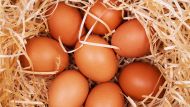 Региональные органы ветеринарной инспекции распорядились изъять с рынка более 4,3 миллиона яиц из-за их антибиотического загрязнения (лазазоцида), - сообщил главный ветеринарный врач